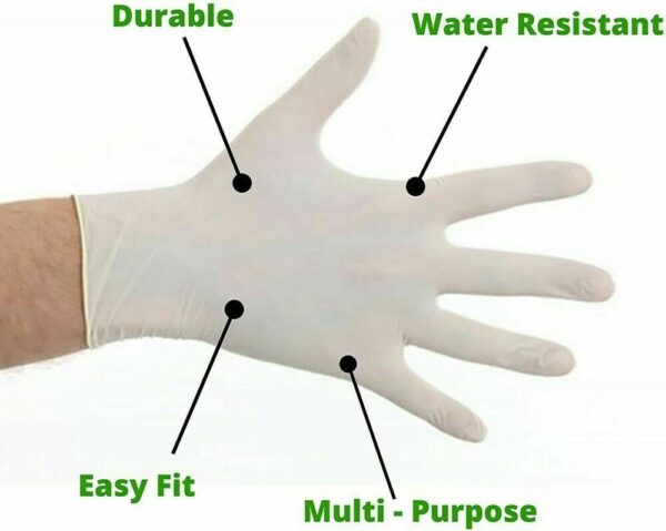 Gloves Latex Powdered Free Disposable for Foodservice size Large 100pcs by AYFA
